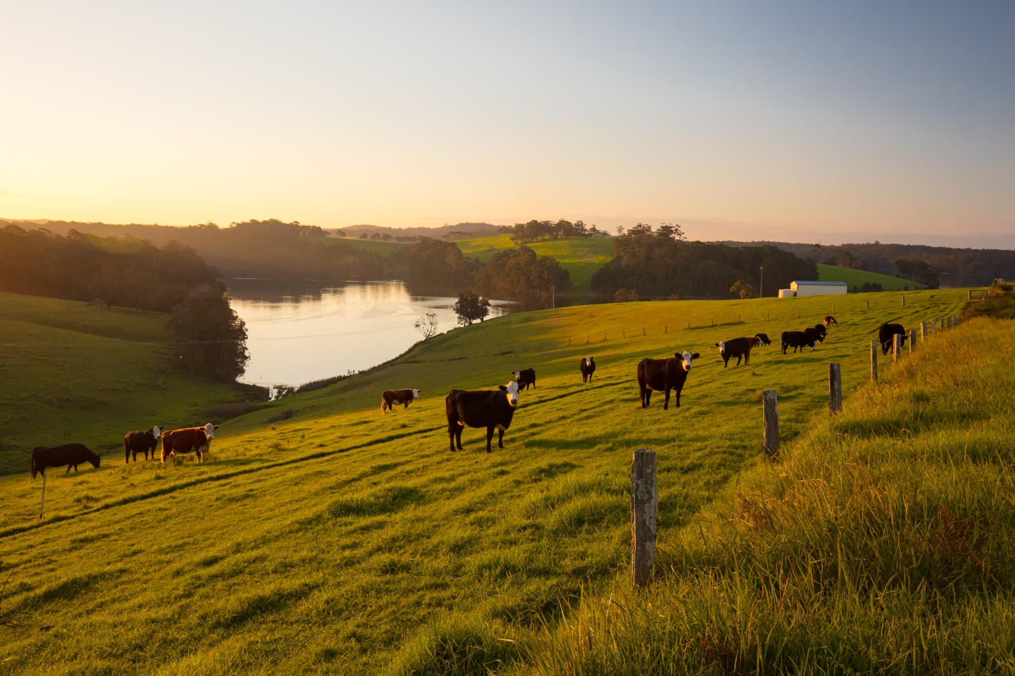 Tilba Tilba landscape