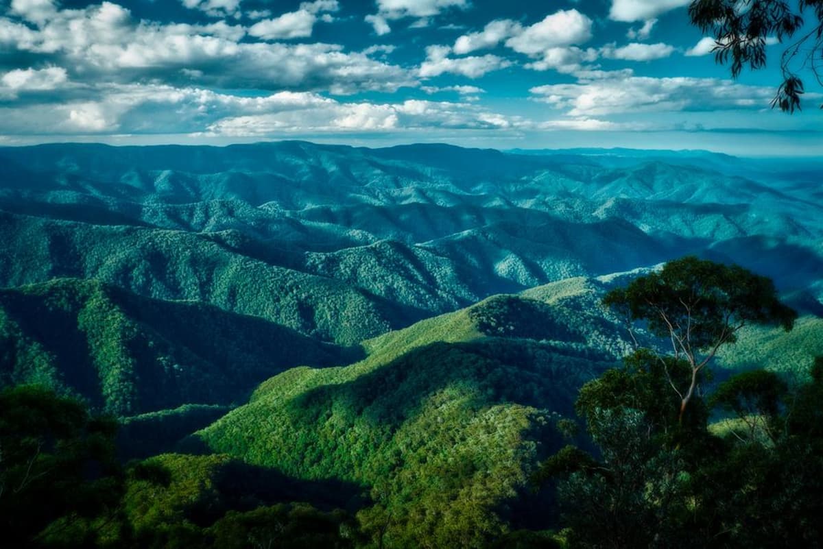 The 3-Day Reset — Bellingen